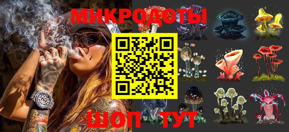 Псилоцибиновые грибы Psilocybe Новокуйбышевск