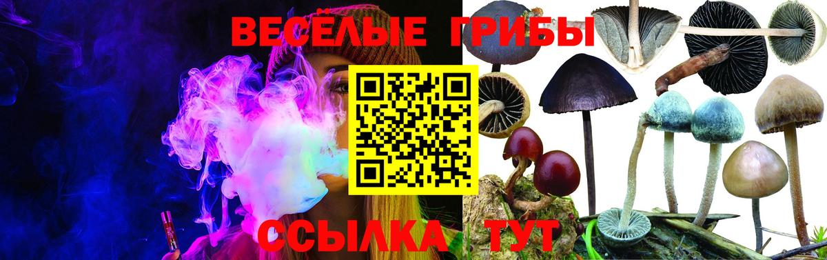 наркотики  Псилоцибиновые грибы Magic Shrooms  Вход с VPN  Новокуйбышевск  Псилоцибиновые грибы MAGIC MUSHROOMS 